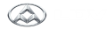 Logo of LDV - Sydney Airport